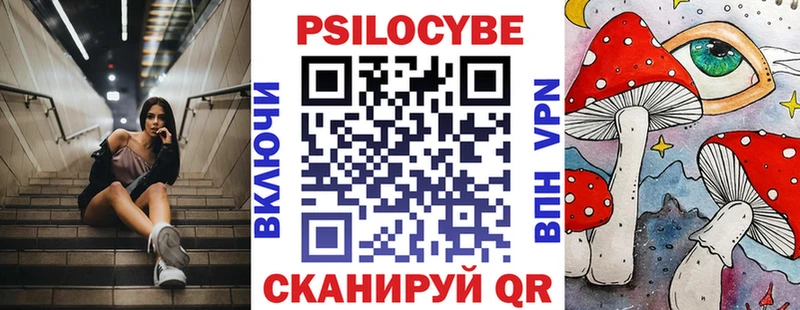 продажа наркотиков  Клин  Псилоцибиновые грибы Cubensis 