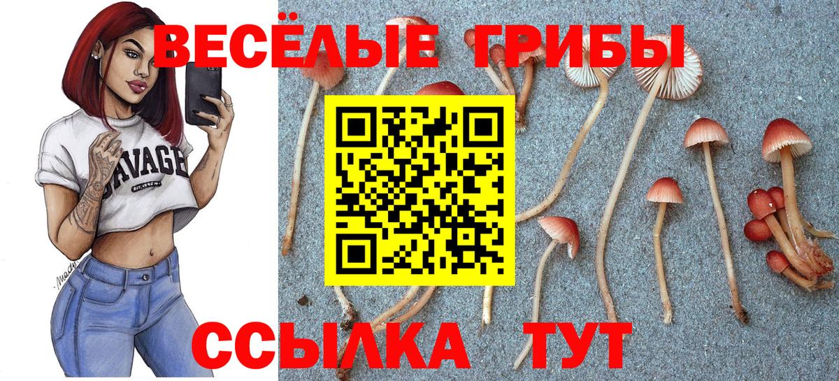 Галлюциногенные грибы Magic Shrooms  Вход с VPN  Клин 