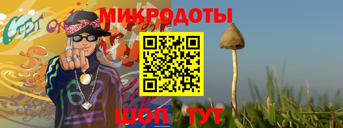 Псилоцибиновые грибы мицелий Клин